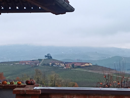 Azienda Agricola Elio Altare - Thumbnail