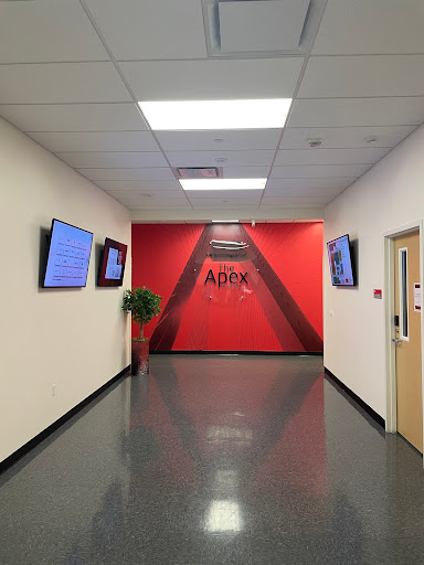 UH Technology Bridge - Visual