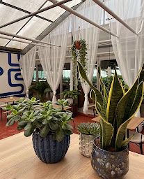 Photo n°10 de Les Succulentes Café - Atelier à Champenoux (Restaurant)