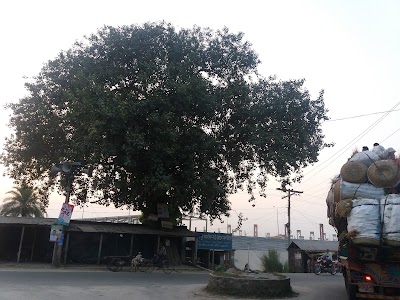 Photos of Ruppur Tin Bot Tola