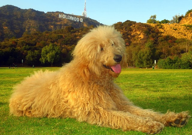 Lake Hollywood Park