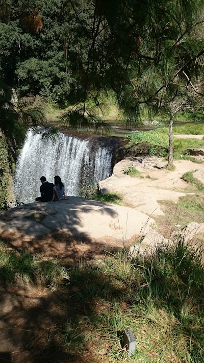 Photos of REAL LOS PAREDONES