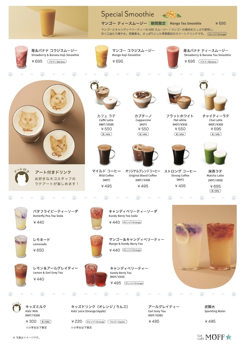 Cat Café MOFF イオンモール熊本店