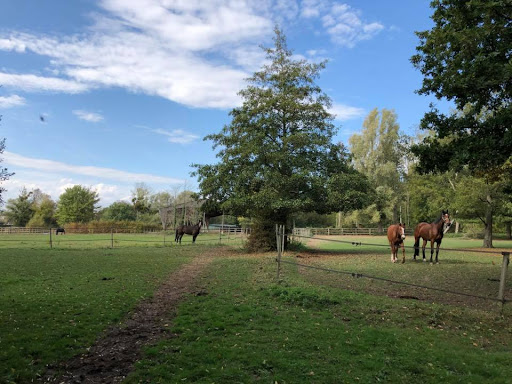 Photo de Haras des Flambertins