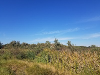 Bayou Sauvage National Wildlife Refuge