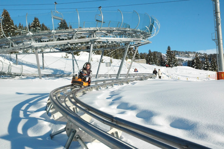 Cowboy Coaster at Snow King Mountain by null