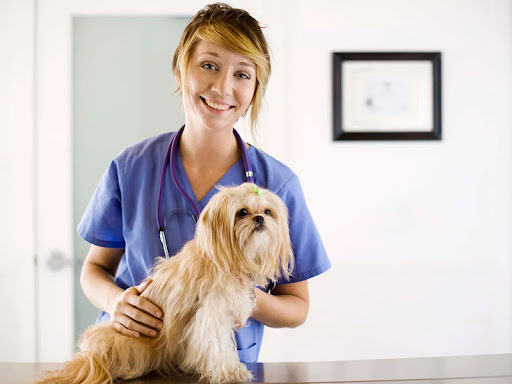 PetScripts.com.au - Visual