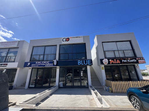 CA GAYRİMENKUL DANIŞMANLIK HİZMETLERİ