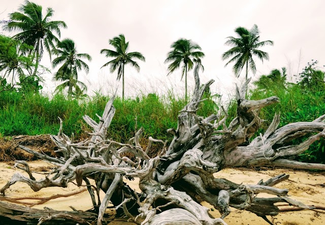 Plage de Poe