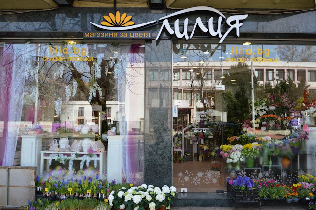 Opinii despre Магазин за цветя Лилия în София - Цветарница