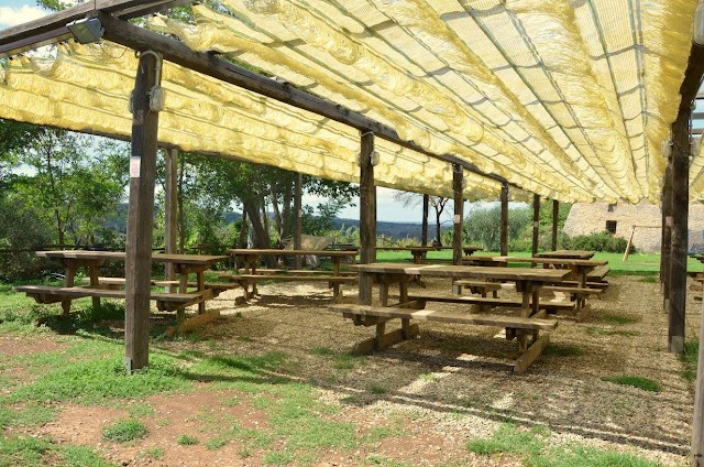 Saltalbero Parco Avventura