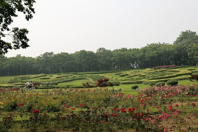 Photos of Yixing Longbeishan Forest Park （Northeast Gate）