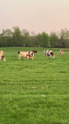 Photo n°10 de Camping La Prairie - près de Clairvaux-les-lacs à Boissia (Terrain de camping)