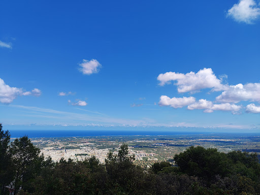 Selva di Fasano