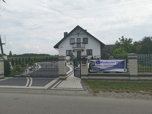 BlueScreen Serwis Komputerowy Tomasz Szczepański - Radom