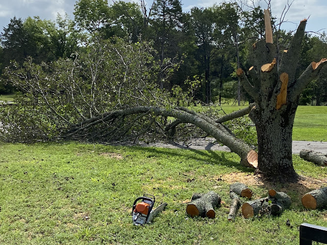 Zelaya Tree Service. LLC