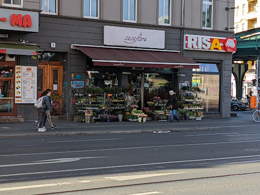casaflora - Visual