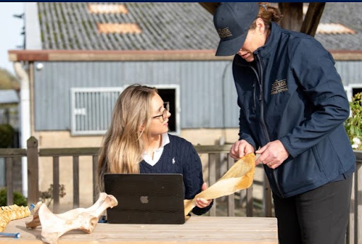 The College of Saddle Fitting