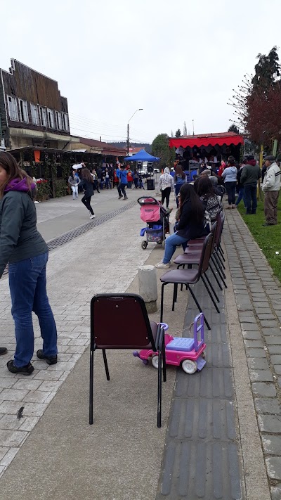 Photos of Municipality of Lanco