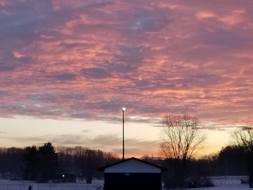 Logan Field - Visual