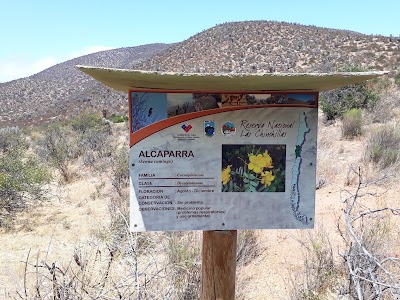 Photos of Las Chinchillas National Reserve