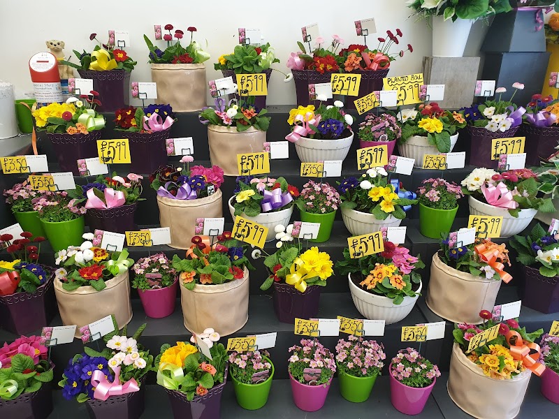 Aspects Of Flowers-Florist in Hull photo 3