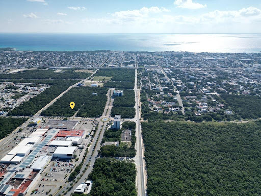 You Tuber Inmobiliario