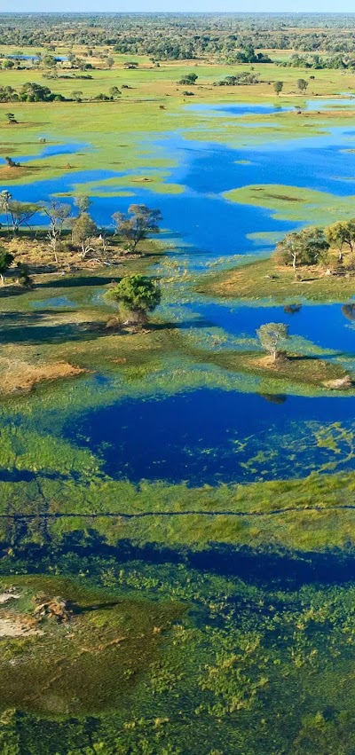 Photos of Camp Okavango