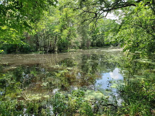 Swamp - United States