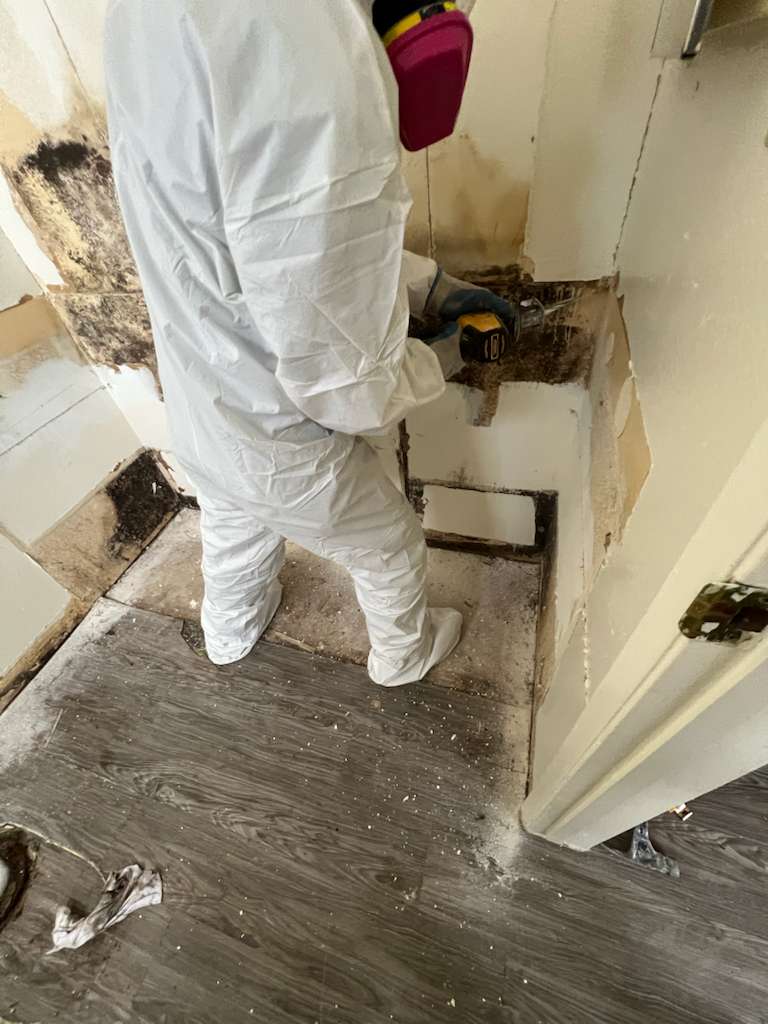 Icon Water Damage Los Angeles photo
