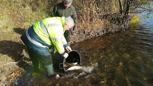Photo n°17 de aappma L'ARLOISE Crêches sur Saone à Cormoranche-sur-Saône (Association bénévole)