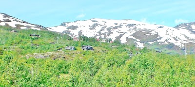 Photos of Kjosfossen