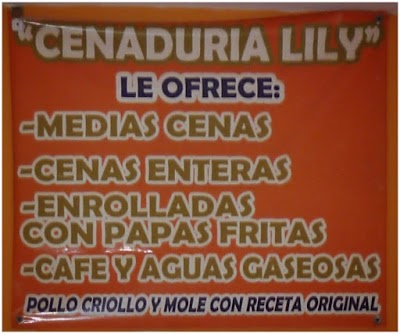 Photos of Cenadur&iacute;a Lily