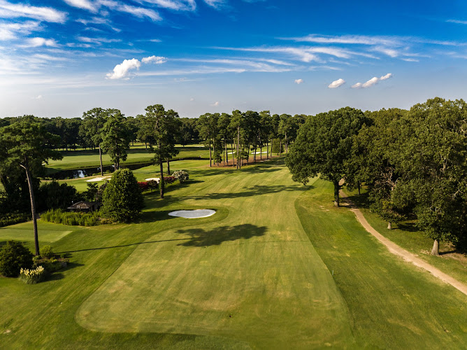 AF1QipOClV9P0Xz3XfcJmP2zfJFudJBmkVTjKdbEZP3v=w800 h500 k no