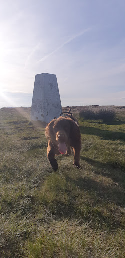 High Brown Knoll - Thumbnail
