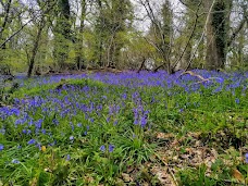 Prior’s Wood bristol