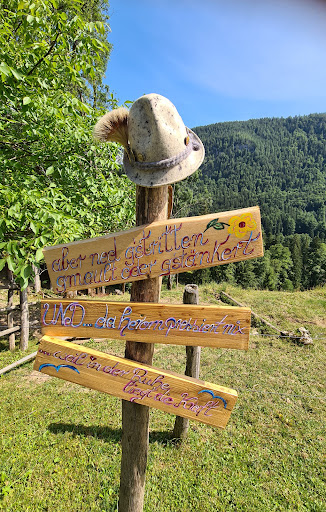 Baumgartner Alm - Visual