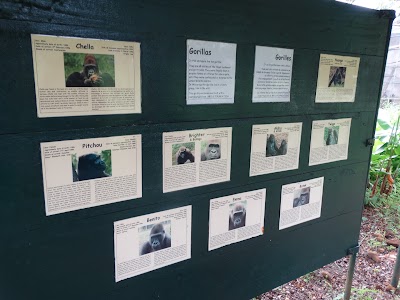 Photos of Limbe Wildlife Centre