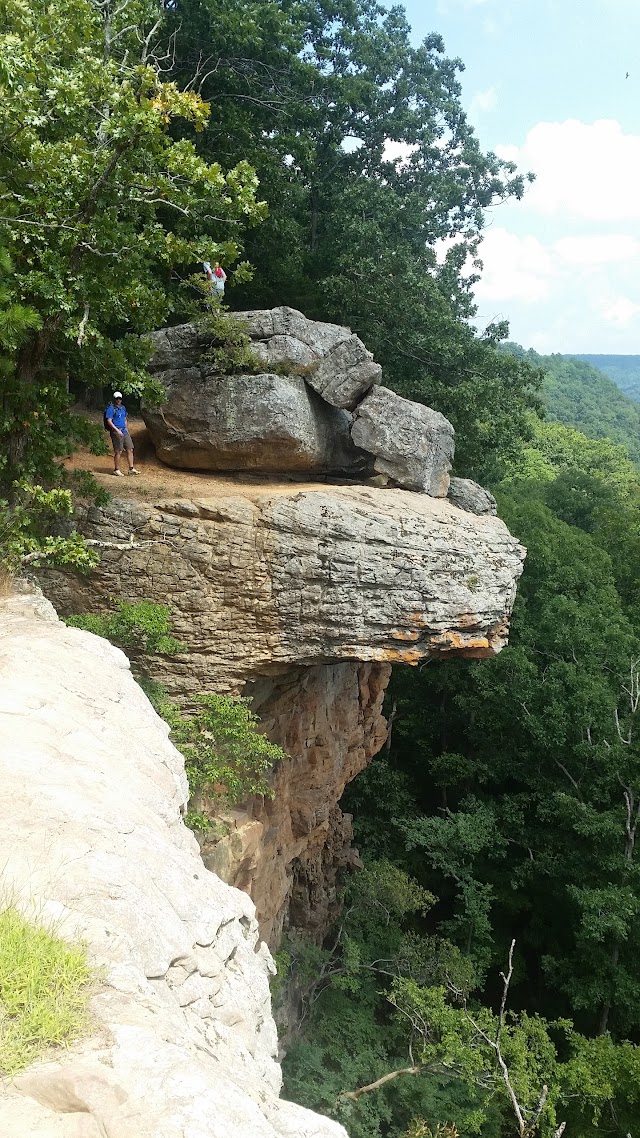 Whitaker Point Trailhead