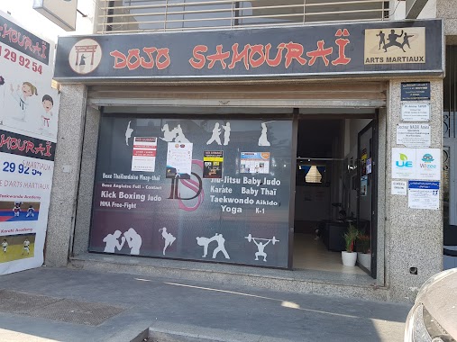 Dojo Samourai, Author: abdelkrim elmoatamid