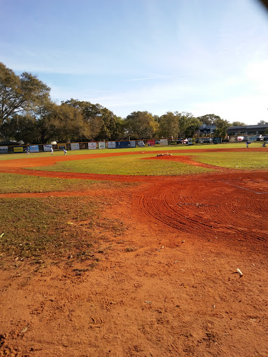 Dr. Phillips Little League