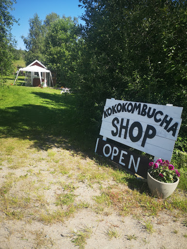 Kokokombucha Hälsingland - Thumbnail