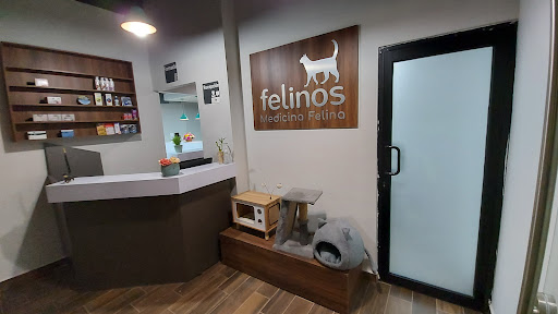 Veterinaria Pets Life & Care Suc. Cumbres Hospital Veterinario - Thumbnail