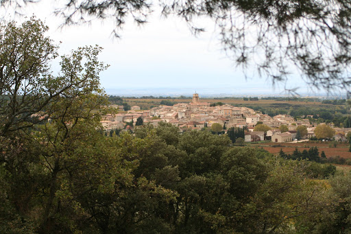 Photo de DOMAINE LA PAUSE à Sablet (84110)