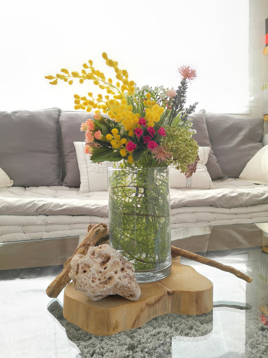 Petra Home Valencia