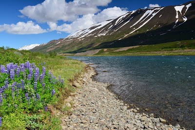 Photos of Systragil Camping Ground