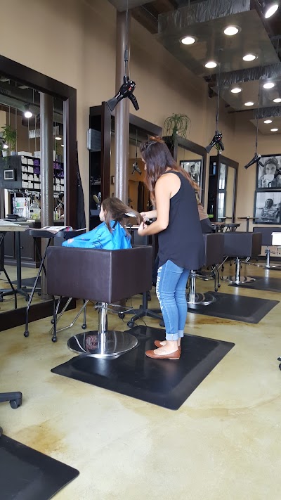 Photos of AOC Salon