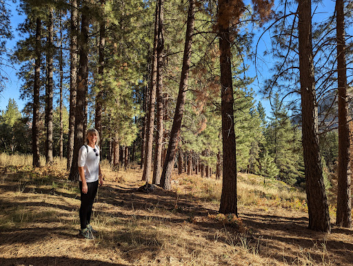 Pine Forest Trailhead - Visual