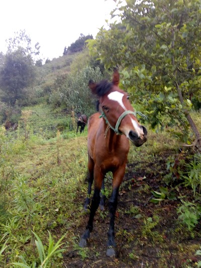 Aldea Yatolop, Concepción Huista