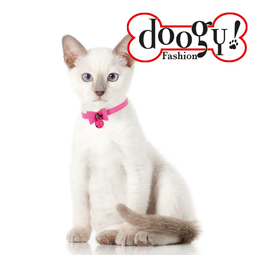 Doogy - Thumbnail